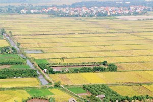 Luật Đất đai, "chưa thông" quy định thu hồi đất